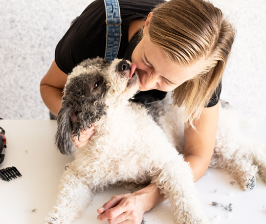 Dog showing love and affection to a girl, creating a heartwarming moment.