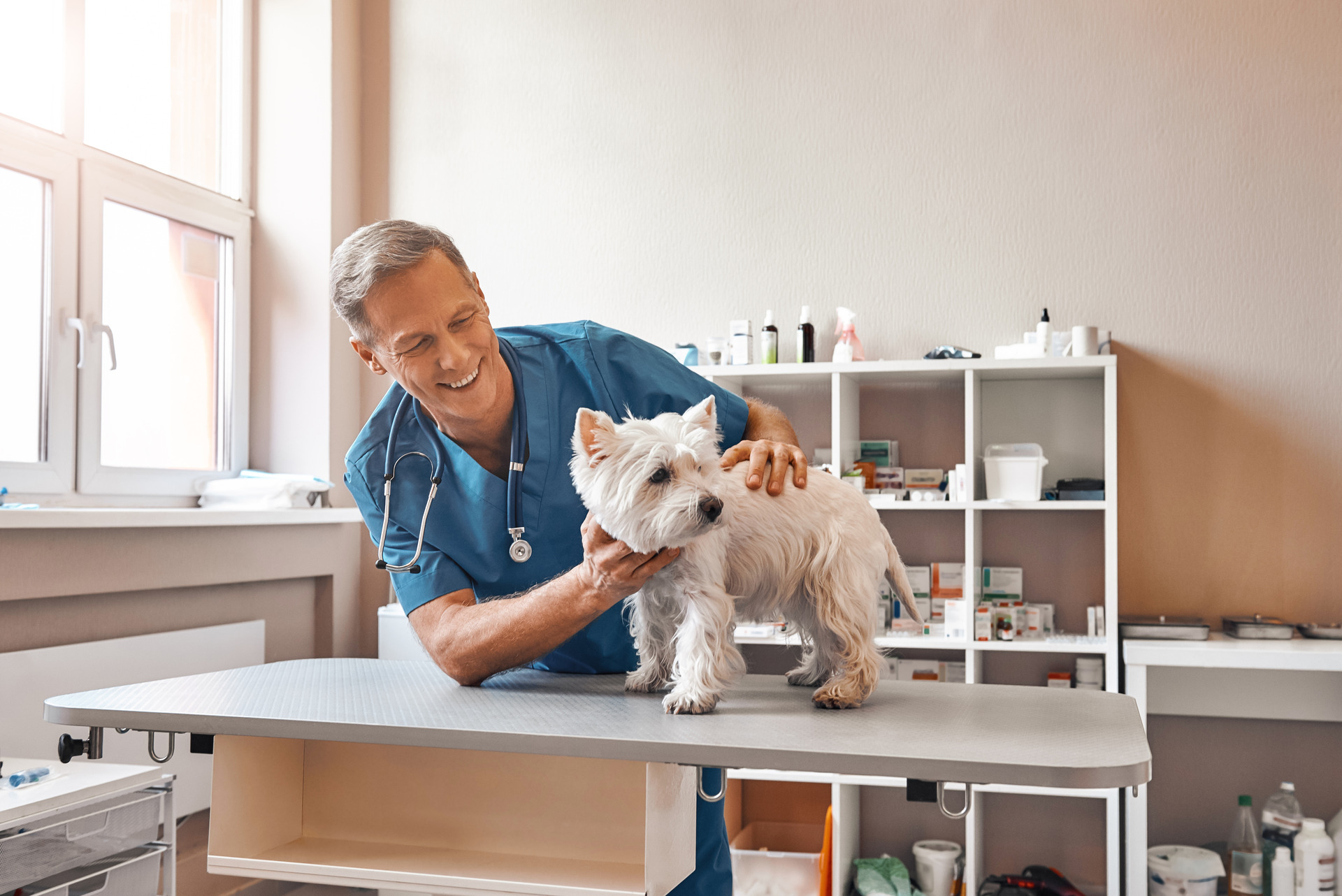 Doctor smiling at a dog, showing care and affection during a check-up.